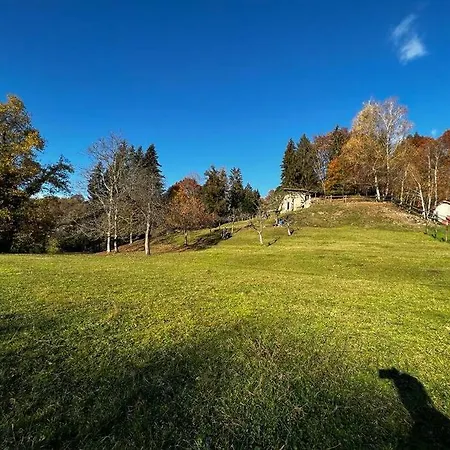 Sorti Alpaca Farm Apartment